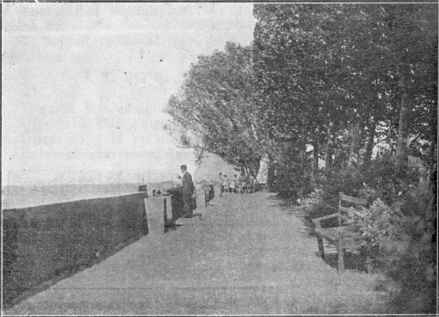 foto12