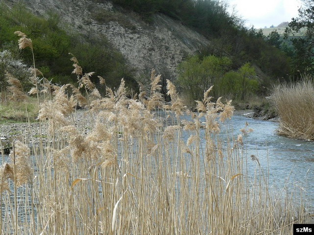 p1030672