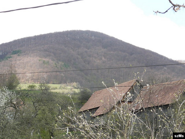 p1030721