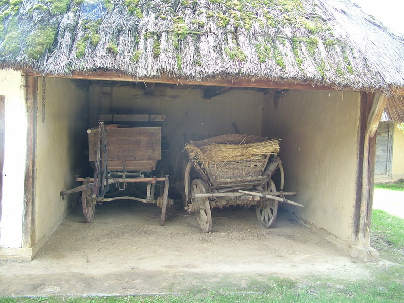 orteRR107
