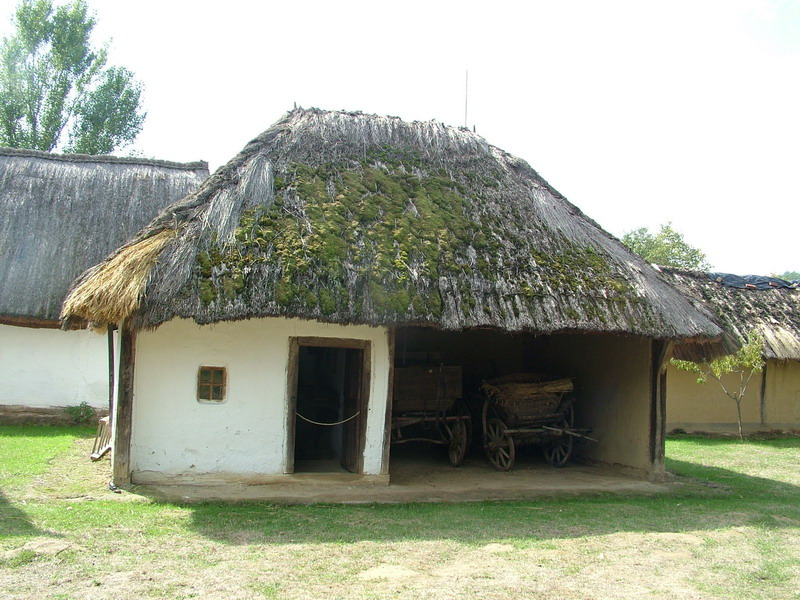 orteRR108
